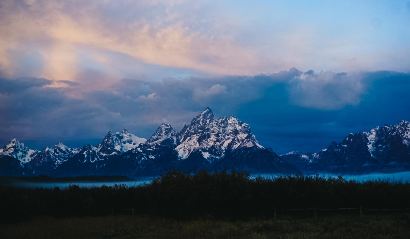 Homepage | Teresa Scavotto | Portfolio